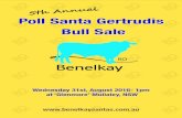 Poll Santa Gertrudis Bull Sale - Benelkay Santas...5th Annual Poll Santa Gertrudis Bull Sale Wednesday 31st, August 2016- 1pm at ‘Glenmore’ Mullaley, NSW Previous Sale Toppers