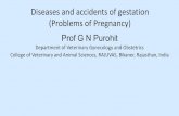 Diseases and accidents of gestation (Problems of Pregnancy)€¦ · Rupture of vagina Cervico-vaginal prolapse Uterine torsion Metabolic disorders Prolonged gestation Hydrometra Prolapse