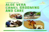 COMMERCIAL BULLETIN aloe vera camel GROOMING AND CARE · The Potential of Phytogenic Compounds in Animal Nutrition Biological activities in the Aloe Vera leaf gel has been claimed