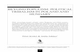 BEYOND POPULISM: POLITICAL TRIBALISM IN POLAND AND …turkishpolicy.com/files/articlepdf/beyond-populism... · 2019-11-29 · 71 BEYOND POPULISM: POLITICAL TRIBALISM IN POLAND AND
