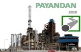 PAYANDANpayandan.com/wp-content/uploads/2018/08/Payandan-Presentation-… · North Drilling (Offshore Drilling) Pedex (Onshore Drilling) Coke Waste Water Refining Co Behran (Oil Refinery