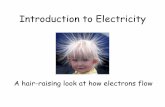 Introduction to Electricity...A magnetic field extends around a magnetized object, out from the north pole and into the south pole. And similarly, an electric field extends out from