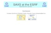 SAXS at the ESRFftp.esrf.eu/pub/scisoft/HDF5FILES/HDF5_Workshop_2010Jan/Boesec… · European Synchrotron Radiation Facility, Grenoble, France (boesecke@esrf.eu) Beamlines ID01 and
