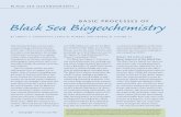 BASIC PROCESSES OF Black Sea Biogeochemistry€¦ · Black Sea BiogeochemistryBASIC PROCESSES OF BY SERGEY K. KONOVALOV, JAMES W. MURRAY, AND GEORGE W. LUTHER, III BLACK SEA OCEANOGRAPHY