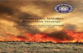 Catastrophic Wildfi re Reduction Strategyag.utah.gov/documents/CatFireFinalReport120213.pdfthe land. Invasive species, policies that reduce naturally-occurring and benefi cial wildfi