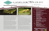 South East Queensland - Land for Wildlife · Newsletter of the Land for Wildlife Program South East Queensland South East Queensland JANUARY 2017 Volume 11 Number 1 ISSN 1835-3851
