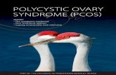 Polycystic ovary syndrome (Pcos) - fertilityfirst.b-cdn.net · Part of the Pathways to Parenthood booklet series Polycystic ovary syndrome (Pcos) InsIde: • The symptoms explained