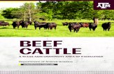 BEEF CATTLE · industry leaders, professionals, and beef producers worldwide to come and learn from Texas A&M. Our faculty will provide digital learning, conferences, and hands-on