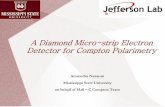 Diamond µ-strip electron detector and readout for Compton ... · PAVI 11 courtesy: Donald Jones, University of Virginia 6. Overview: e-detector PAVI 11 Mississippi State University