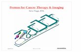 Protons for Cancer Therapy & Imaging...Dec 15, 2003  · Summary – Proton Imaging 1) proton Computed Tomography is driven by proton therapy needs, but has a much broader potential
