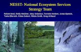 NESST- National Ecosystem Services Strategy Team · 2015-01-07 · National Strategy Building Champions Forums (2012 & 2014) National Ecosystem Services Strategy Team ... Spiritual