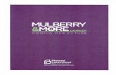 MULBERRY &M®RE - Planned Parenthood · Our need The success of the 5-year, $3.25 million Mulberry & More Campaign will achieve 2 main objectives: recoup the costs of the new Mulberry