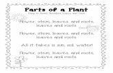 Parts of plant song - sd41blogs.ca · Parts of a Plant (Sung to: Head, Shoulders, Knees, and Toes) Directions Flower- Point to your head Stem- Point to yourself with your thumbs Leaves-
