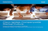 Cisco Ignites Companywide Startup ... - Innovation Management · purpose: disrupt the Cisco culture, competition, and marketplace. However, we recognized that organizations can’t