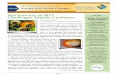 Hot Summer of 2017 FALL 2017 Challenges Tomato Gardenerscecentralsierra.ucanr.edu/newsletters/UCCE_Master... · 2017-10-11 · most average garden soils in locations that receive
