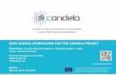 Copernicus Access Platform Intermediate Layers Small Scale ... · CANDELA project main objective is to allow the creation of value from Copernicus data through the provisioning of