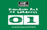 Random Act of Wildness 0159272096998fe6b10897-960f348513c19177814ec4ab5a156a1c.r0...Random Act of Wildness #30DaysWild Write a wildlife poem Ask residents to think of the words that