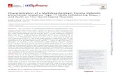 Characterization of a Multidrug-Resistant Porcine Klebsiella … · Characterization of a Multidrug-Resistant Porcine Klebsiella pneumoniae Sequence Type 11 Strain Coharboring bla