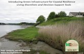 Introducing Green Infrastructure for Coastal Resilience Living ......shoreline stabilization techniques along estuarine coasts, bays, sheltered coastlines, and tributaries. A living