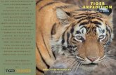 [Original size] Photo Bangkok Travel Trifold Brochure expedition...Overnatting i Bandhavgarh jungle lodge. Dag 8, 21 april - Morgen og kvelds safari i Bandhavgarh nasjonalpark. Overnatting