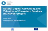 Natural Capital Accounting and Valuation of Ecosystem ... · Natural Capital Accounting, in particular ecosystem accounting •By initiating pilot testing of SEEA Experimental Ecosystem