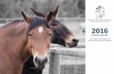 ANIMAL PROTECTION OF NEW MEXICO ANIMAL PROTECTION …€¦ · In 1994, a caller to our fledgling Animal Cruelty Hotline reported a bizarre and previously-unheard-of kind of horse