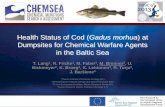 Health Status of Cod (Gadus morhua) at Dumpsites for ...chemsea.eu/admin/uploaded/BSSC Cod health_Lang etal.pdf · to assess the health status of cod at known and suspected chemical