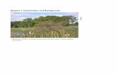 Chapter 1. Introduction and Background Marshlands NWR... · Chapter 1. Introduction and Background Introduction This final comprehensive conservation plan (CCP) is the culmination