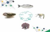 Integrate Aquaculture: an sustainability in the …integrate-imta.eu/wp-content/uploads/presentation...National University of Ireland Galway Ireland ALGAplus Produção e Comercialização