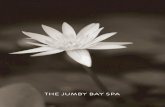 THE JUMBY BAY SPA · AGE-DEFYING Firming Facial 60 m_____inutes Reclaim your skin’s youthful appearance. This transformative treatment features the regenerative properties of botanical