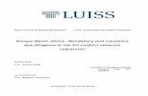 Europe Meets Africa. Mandatory and voluntary due diligence ...tesi.eprints.luiss.it/17943/1/625802_PARISE_ROSARIO.pdf · debate concerning the EU conflict minerals regulation, driving