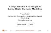 Large-Scale Pathway Modeling Computational Challenges inPharmaceutical Interest in Pathways • Predicting culture conditions for overproduction of biopharmaceuticals and drug targets,