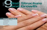 Chapter Chapter OurO lt Chinth aprt · The Natural Nail A natural nail, also known as onyx (AHN-iks), is the hard protective plate composed mainly of keratin, the same fibrous protein