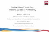 The Five Pillars of Chronic Pain: A Rational Approach to ... · 76% of past-year suicide attempts report chronic pain Substance users –significantly higher prevalence of chronic