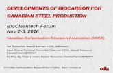 DEVELOPMENTS OF BIOCARBON FOR CANADIAN STEEL …... · • Total potential demand: 1.7 Mt Bio-char/yr • 1.2 Mt Bio-char/yr for direct injection in ironmaking • 0.4 Mt Bio-char/yr