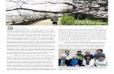 Capacitar Letter from Japan · Capacitar. Letter from Japan. Dear Friends, Special greetings to you from Japan where the . pink and white cherry trees are in their glory. It is a