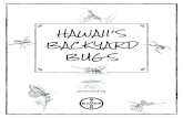 HAWAII’S BACKYARD BUG S · DRAYING MANTIS Skilled predator The praying mantis hunts and feeds on a variety of prey – such as flies, crickets and moths – from the time it hatches
