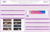 Petrography of Felsic Volcanic and Pyroclastic Rocks at ...€¦ · 3. Thin section preparation and Petrography study: to study texture, mineral composition, rock component and classify