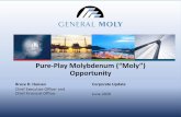 Pure-Play Molybdenum (“Moly”) Opportunity€¦ · 2020-06-22  · Series 300 high -nickel and moly stainless steel is regaining favor over Series 200 low-nickel-and-moly steel