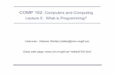COMP 102: Computers and Computing Lecture 5: What is ...siddiqi/COMP-102-2014/05Programming.pdf · –Same for mathematical operators and most punctuation signs. –Can’t have a