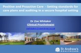 Positive and Proactive Care - setting standards for care ... · in any form or there is no evidence provided. Some Evidence (1) –There is mention of the standard, however, there
