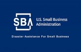 Disaster Assistance For Small Business...Small Business Debt Relief As part of SBA's debt relief efforts, • The SBA will automatically pay the principal, interest, and fees of current