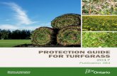 PROTECTION GUIDE FOR TURFGRASS - Ontario · normally controlled by 2,4-D may be controlled by mecoprop or dicamba, or with combinations of one of these with 2,4-D. Mecoprop and dicamba