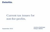 Current tax issues for not-for-profits. · Employment issues: meal payments - proposals Working lunches and travelling on business • Arguably taxable as private expenditure, but