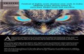 TRAFFIC Festival of lights casts shadow over owls in India ... · OWLS IN INDIA There are more than 200 species of owls found in the world. In India alone, there are around 30 species