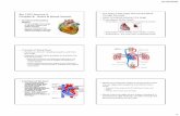 Bio 1102 Lecture 4 Chapter 8: Heart & Blood Vesselsstorage.googleapis.com/biology1102/L_5.pdf · 5/21/2020 1 Bio 1102 Lecture 5 Chapter 8: Heart & Blood Vessels •Functions of Circulatory