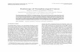 Endoscopy of Nasopharyngeal Cancerdownloads.hindawi.com/journals/dte/1994/926460.pdf · DiagnosticandTherapeuticEndoscopy, Vol. 1, pp.63-68 Reprintsavailabledirectly fromthepublisher