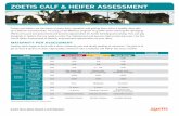 Zoetis cAlf & Heifer Assessment - Zoetis | ... Zoetis cAlf & Heifer Assessment Calves and heifers are