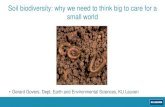 Soil biodiversity: why we need to think big to care for a ... · Soil biodiversity: why we need to think big to care for a small world. 2 Gerard Govers Biodiversity is a hot topic.