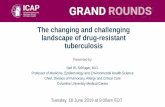 GRAND ROUNDS - ICAP at Columbia University...GRAND ROUNDS The changing and challenging landscape of drug-resistant tuberculosis Presented by: Neil W. Schluger, M.D. Professor of Medicine,